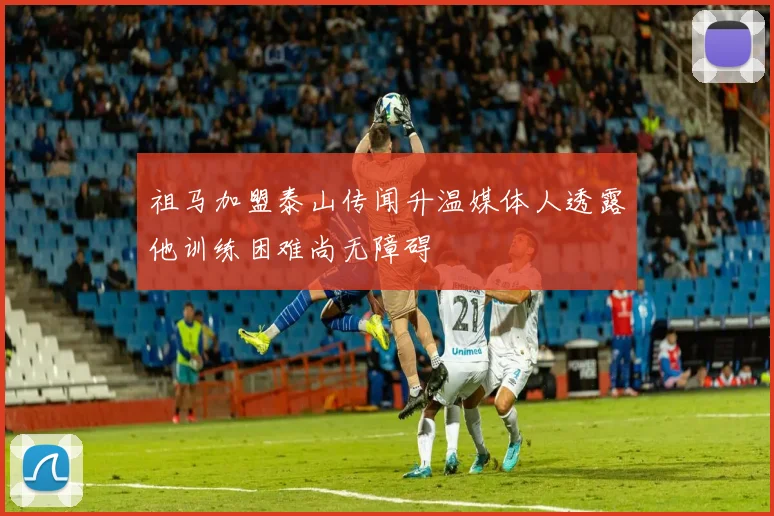 祖马加盟泰山传闻升温媒体人透露他训练困难尚无障碍