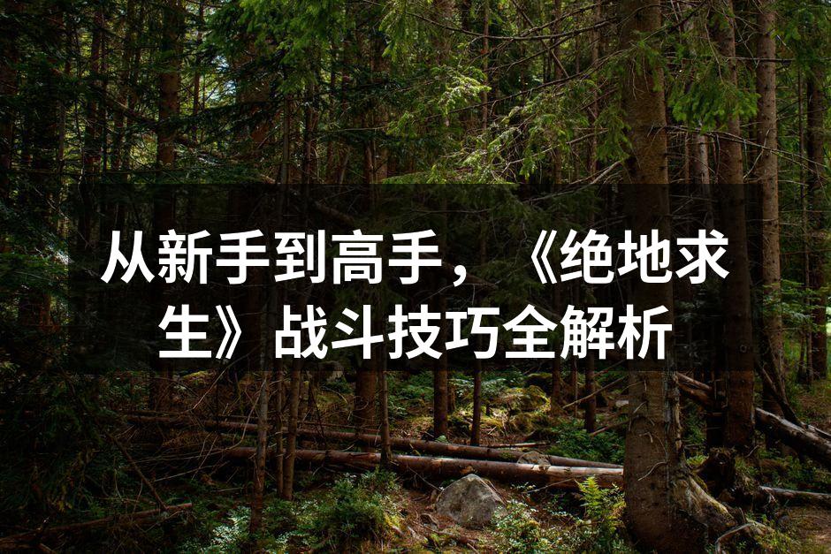 从新手到高手，《绝地求生》战斗技巧全解析